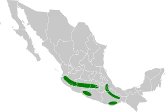 Mexicaanse bospatrijs