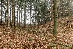 Locatie walburg Altenburg