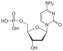 Structuurformule van desoxycytidinemonofosfaat