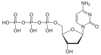 Structuurformule van desoxycytidinetrifosfaat