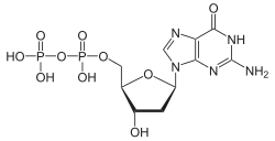 Structuurformule van desoxyguanosinedifosfaat