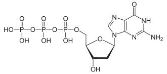 Structuurformule van desoxyguanosinetrifosfaat