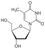 Structuurformule van thymidine
