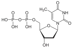 Structuurformule van thymidinedifosfaat