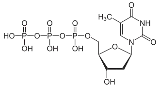 Structuurformule van thymidinetrifosfaat