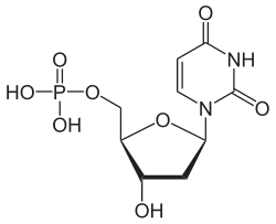 Structuurformule van desoxyuridinemonofosfaat