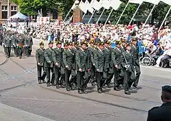 Detachement van het Korps Rijdende Artillerie tijdens de Nederlandse Veteranendag (2010)