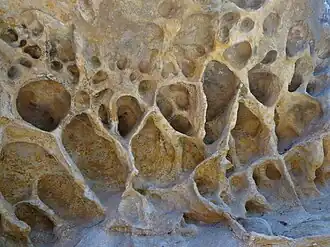 Nationaal park Dharug