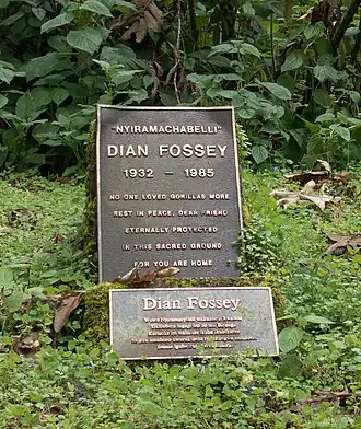 Graf Dian Fossey, Karisoke Research Center
