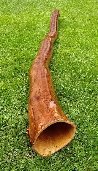 Didgeridoo
