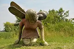 Dancing with Dragonflies