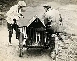 Motor met zijspan als dierenambulance voor aangereden honden