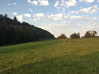 Links in het bos ligt de Hombrig, het hoogste punt van de Dietschiberges