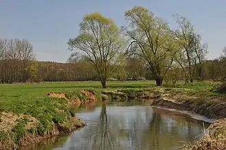 De Dijle in "Doode Bemde"