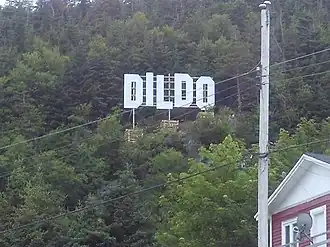Het markante Dildo Sign, een lettermonument geïnspireerd op het Hollywood Sign