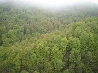 Nationaal park Dilijan