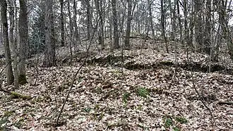 Steilrand van het Kempens Plateau in Platte Lindenberg