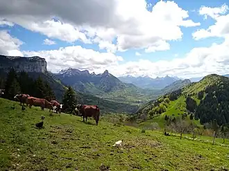 Zicht op Dingy vanaf het ChaleT Chappuis