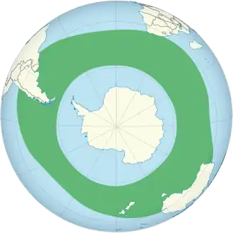 Zuidelijke koningsalbatros