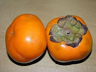 Diospyros kaki 'Triumph'