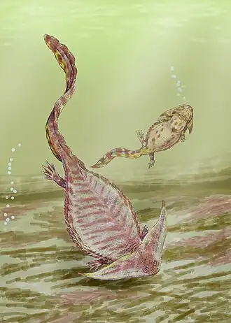 Diplocaulus zoekt naar voedsel in de modder.