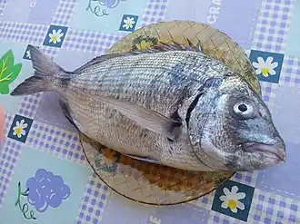 Diplodus sargus cadenati