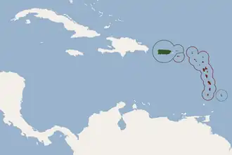 Brachyphylla cavernarum