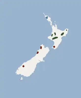 Nieuw-Zeelandse vleermuis