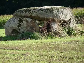 Dolmen de Pasquiou in Le Vieux-Bourg