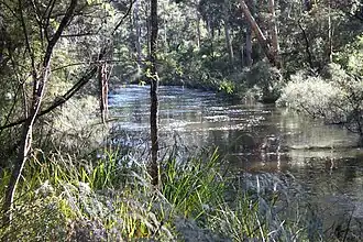 nabij de 'One Tree Bridge'