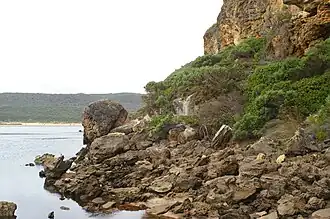 kalkstenen rif nabij de monding