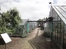 Het pad tussen de kassen