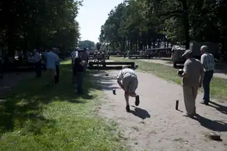 Krulbollen op de Doornzeledries