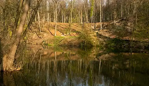 Natuur bij het kasteel