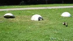 Exploded Sphere (1983). Carrara Marmer. Dordrecht