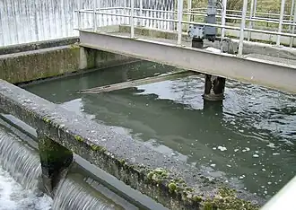 Zandvanger op rwzi Huldenberg: een ondiepe vierkante tank voor de verwijdering van zand.