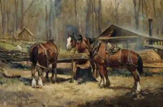 Draught Horses Resting