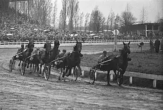 Draverijen op Mereveld, winnaar Vrijdag op kop, 1960