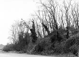 Drie Tommen (Tienen)