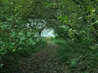Deel van het natuurgebied Dubbroek