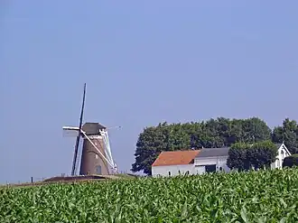 De molen Düffels Möl bij Stokkum