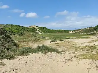 Duinen van Ter Yde, Hannecartbos en Oostvoorduinen