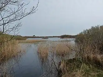 Overzicht over hetzelfde meer