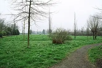 De voormalige motteheuvel