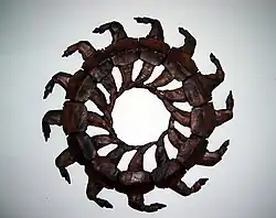 Duizendpoot, 2004, inlands eiken.