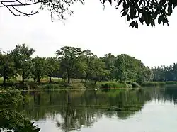 Dunávickýmeer (2009)