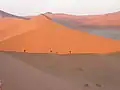 Dune45 - toeristische attractie in Sossusvlei