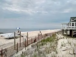 Duingebied in Dunewood (Fire Island)