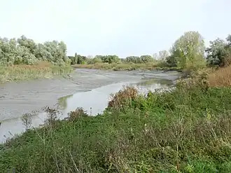 De slikken langs de Durme