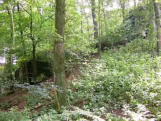 Duvensteine bij Holperdorp (vermoedelijk in de middeleeuwen door de mens bewerkt)